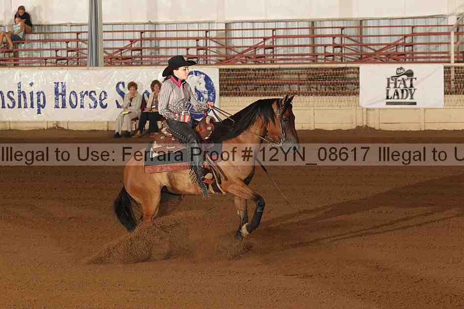 Proof 12yn_08617