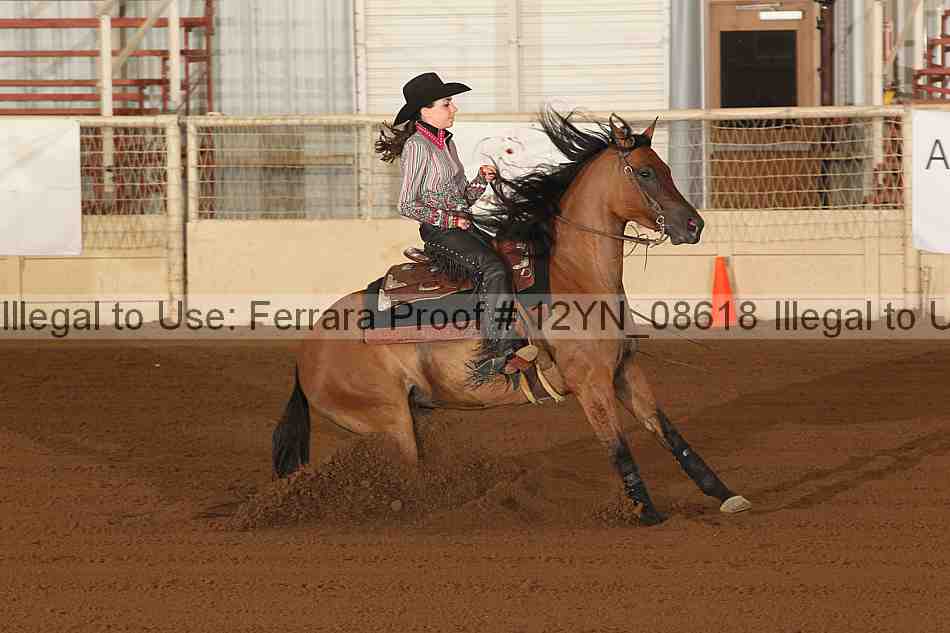 Proof 12yn_08618