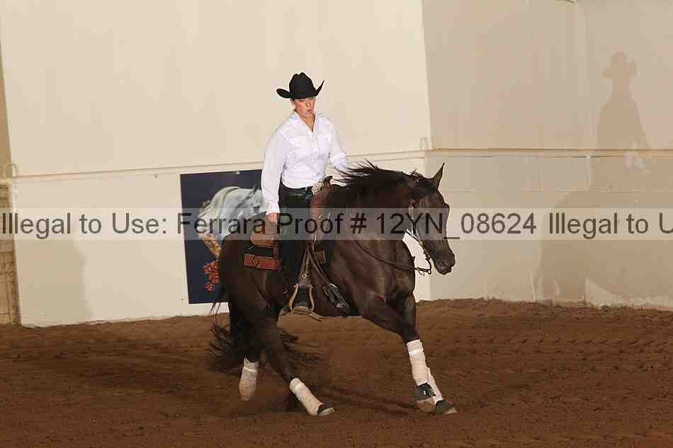 Proof 12yn_08624