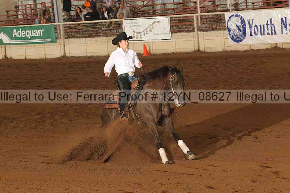 Proof 12yn_08627