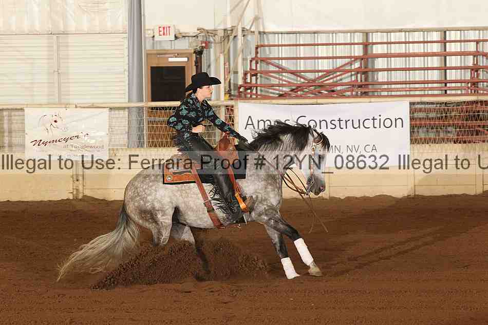 Proof 12yn_08632