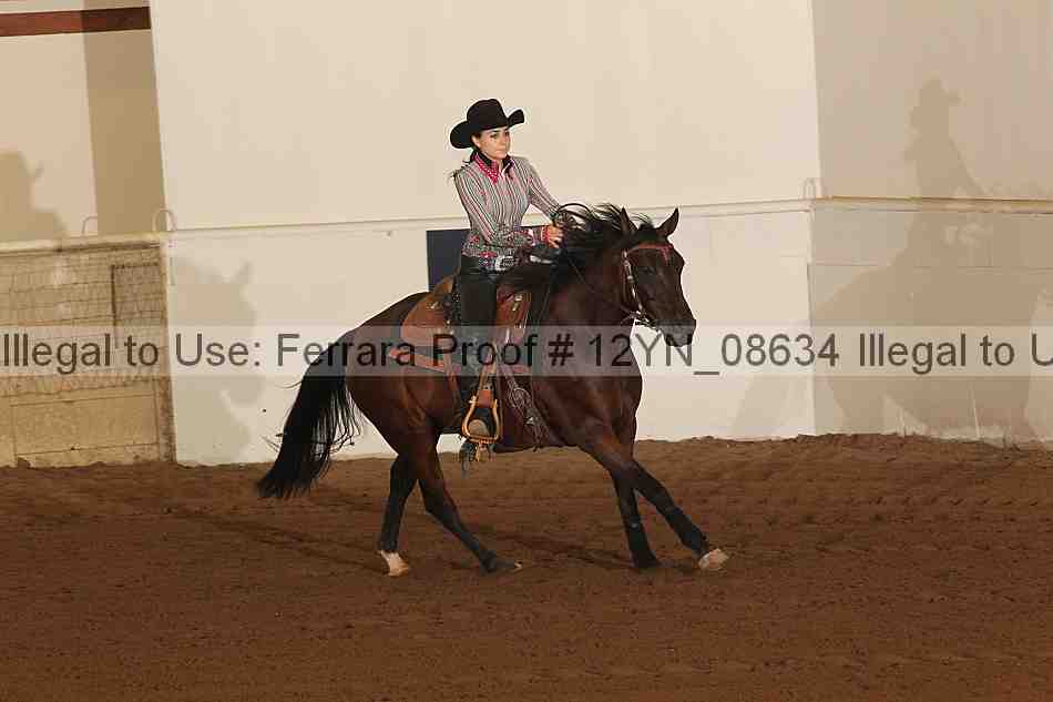 Proof 12yn_08634