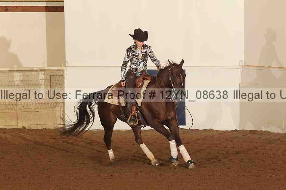 Proof 12yn_08638