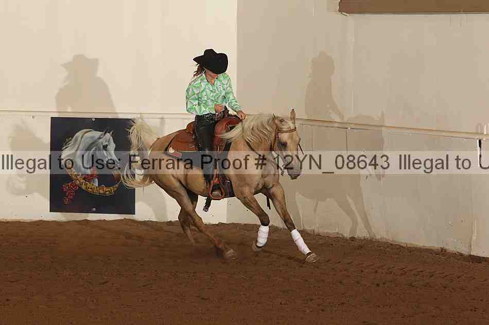 Proof 12yn_08643