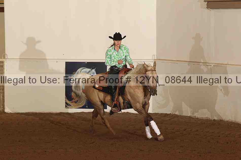 Proof 12yn_08644
