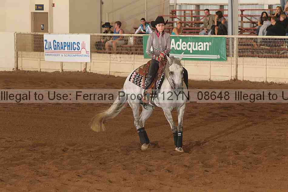 Proof 12yn_08648