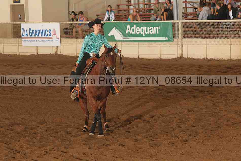 Proof 12yn_08654