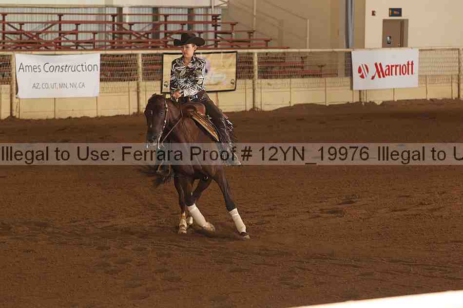 Proof 12yn_19976