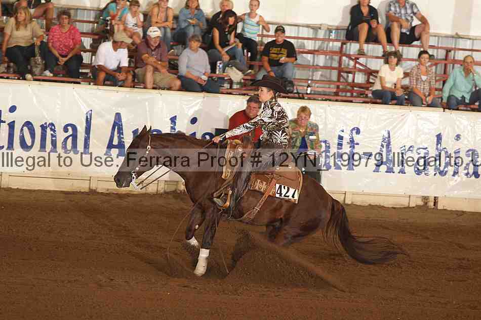 Proof 12yn_19979