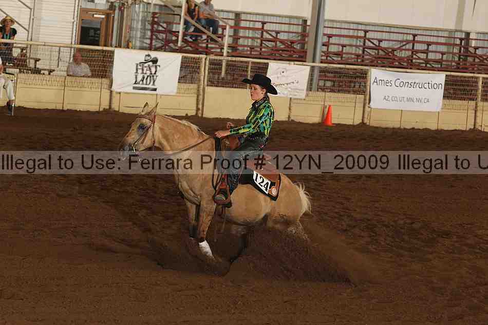Proof 12yn_20009