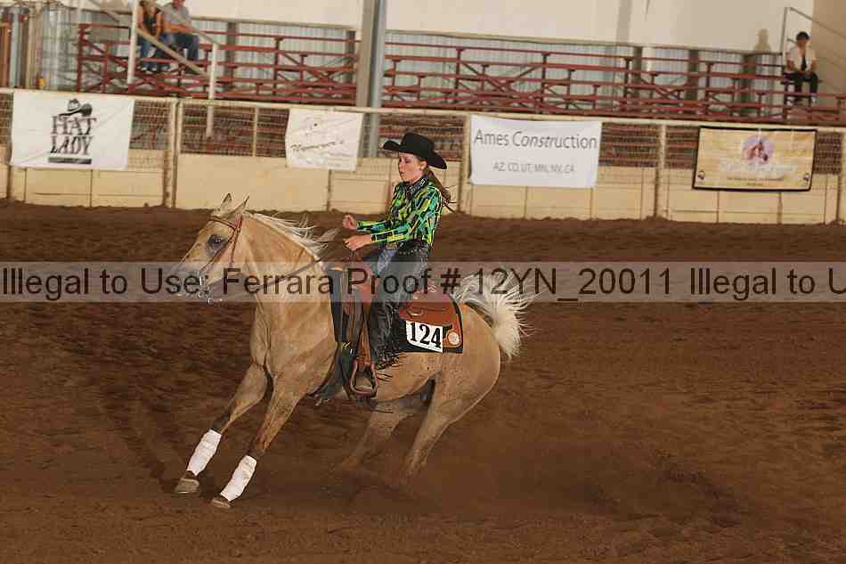 Proof 12yn_20011