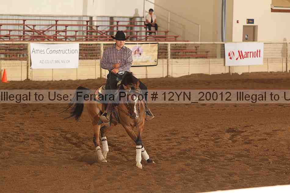 Proof 12yn_20012