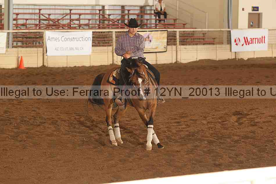 Proof 12yn_20013