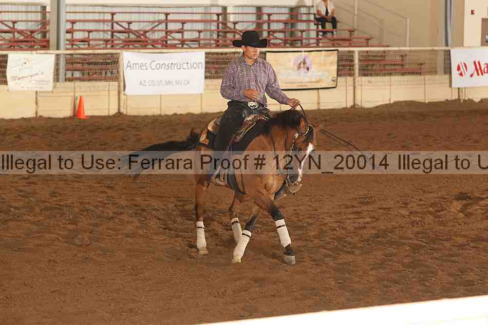 Proof 12yn_20014