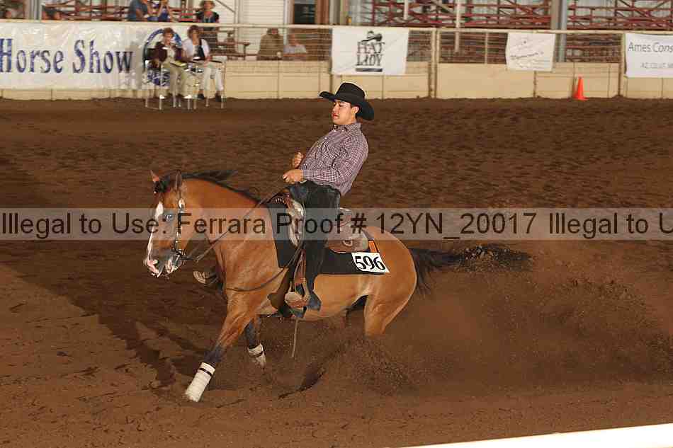 Proof 12yn_20017