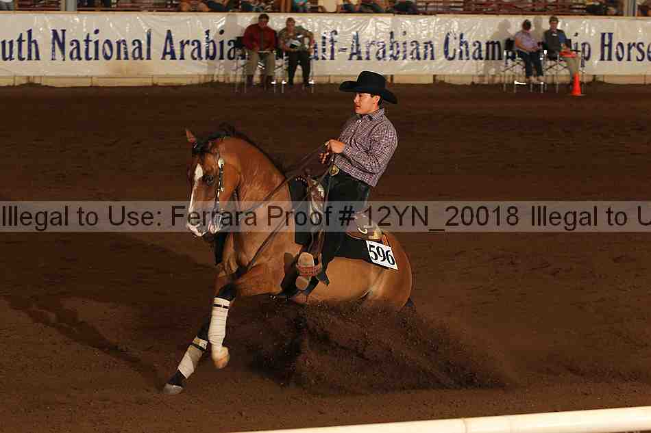 Proof 12yn_20018