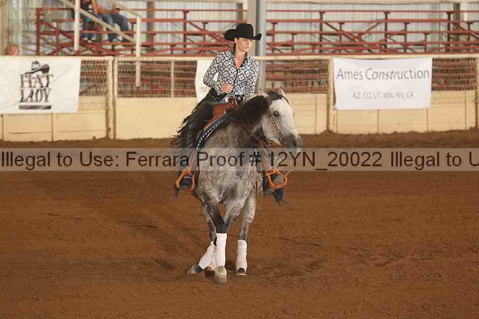 Proof 12yn_20022