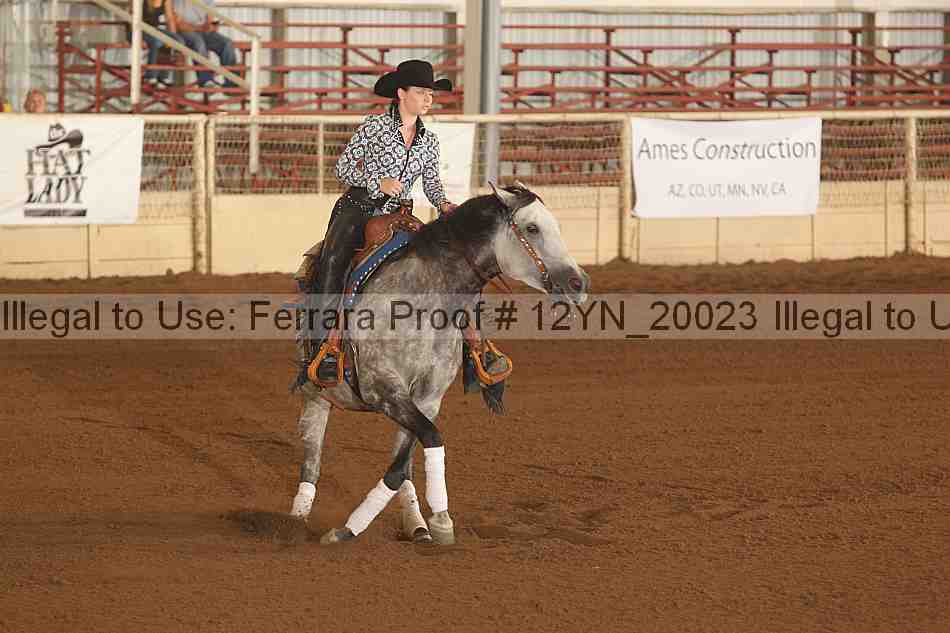 Proof 12yn_20023