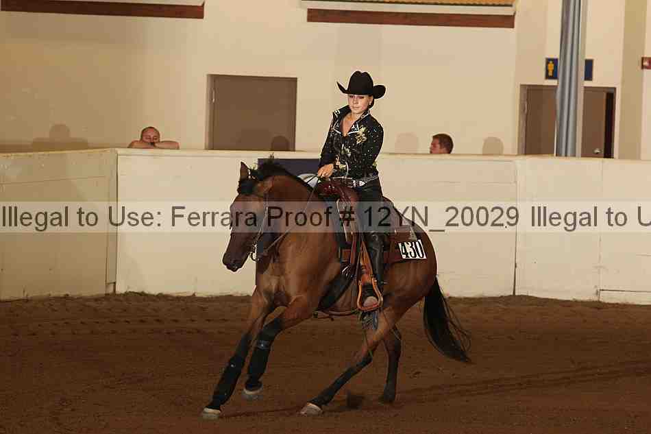 Proof 12yn_20029