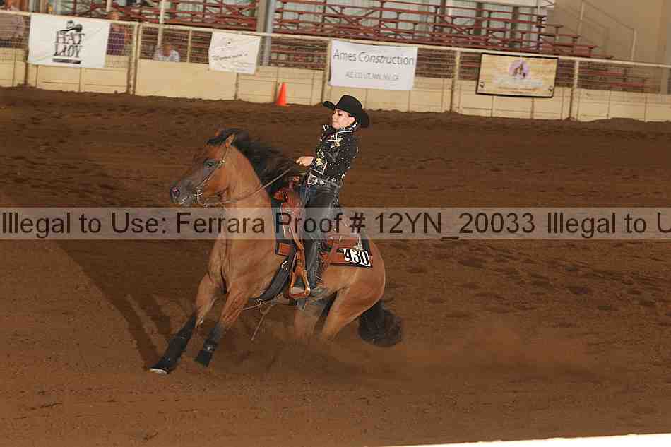 Proof 12yn_20033