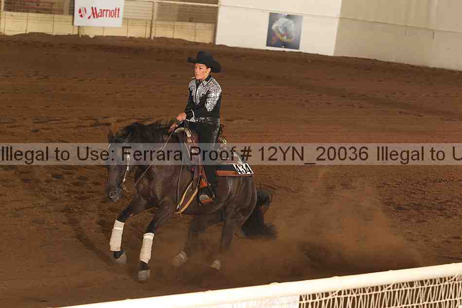 Proof 12yn_20036