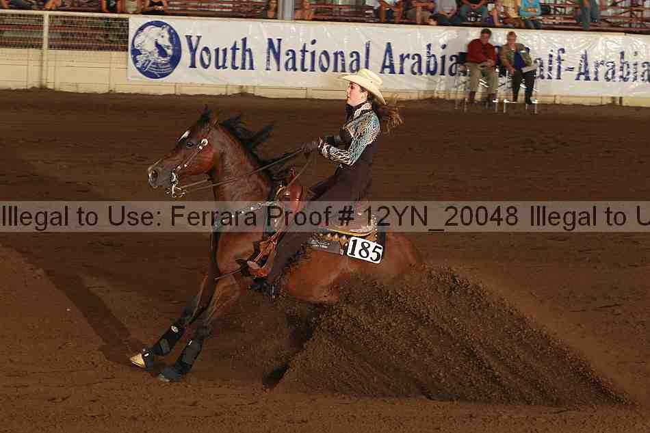 Proof 12yn_20048