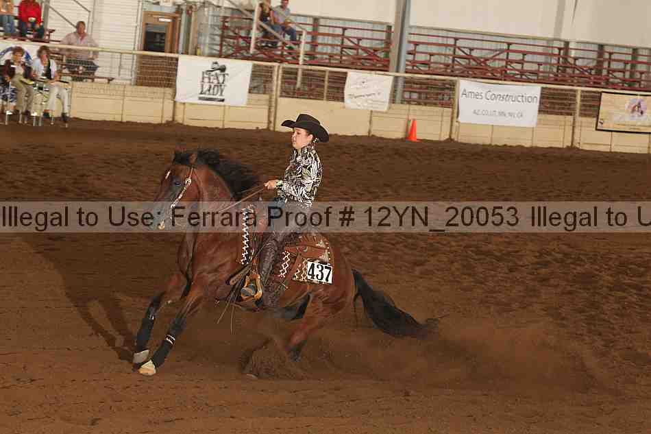 Proof 12yn_20053