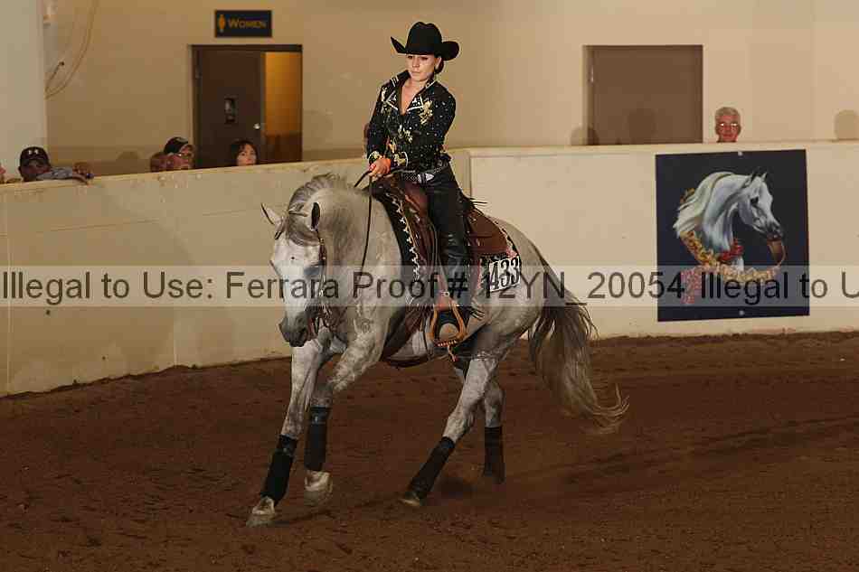 Proof 12yn_20054