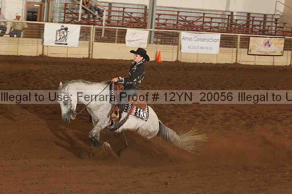 Proof 12yn_20056