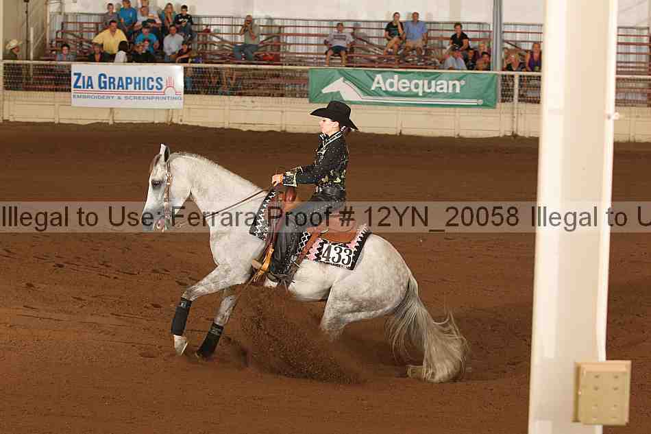 Proof 12yn_20058