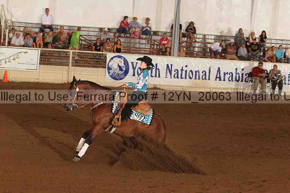 Proof 12yn_20063