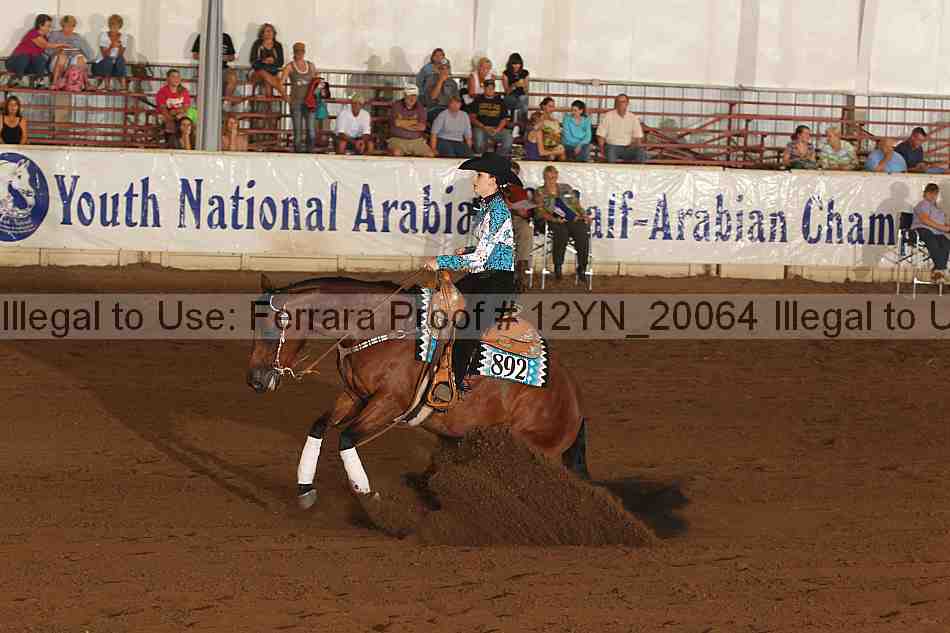 Proof 12yn_20064