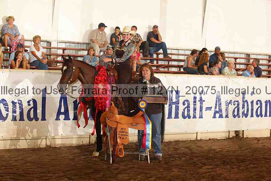 Proof 12yn_20075