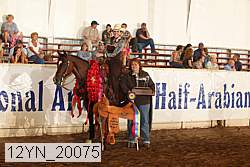 12yn_20075 proof