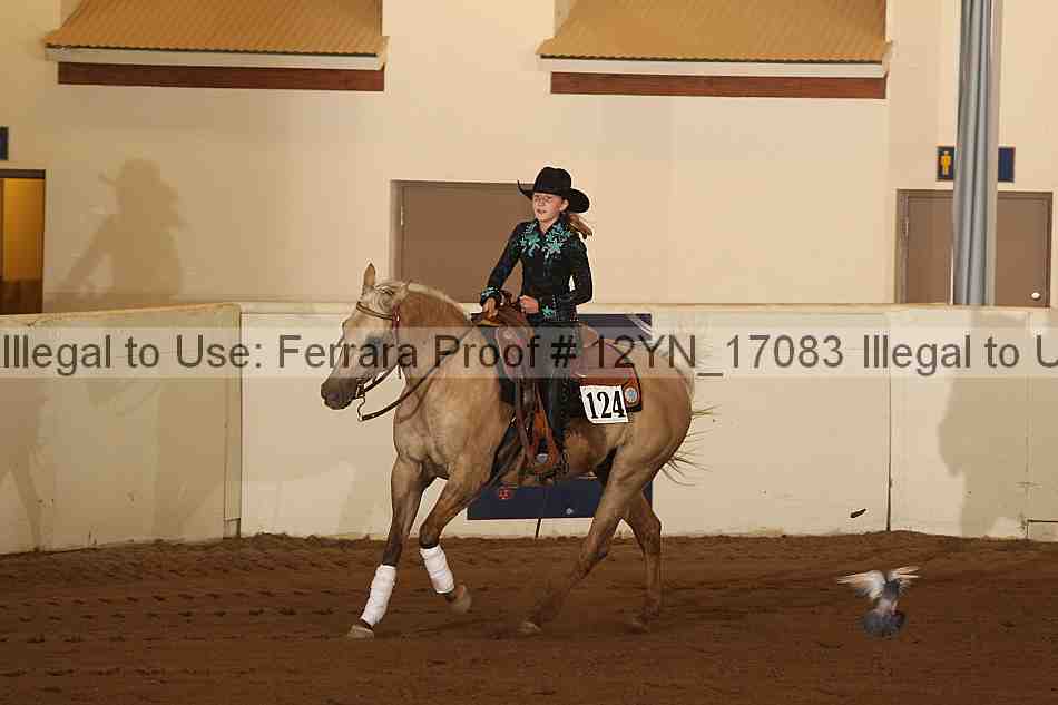 Proof 12yn_17083