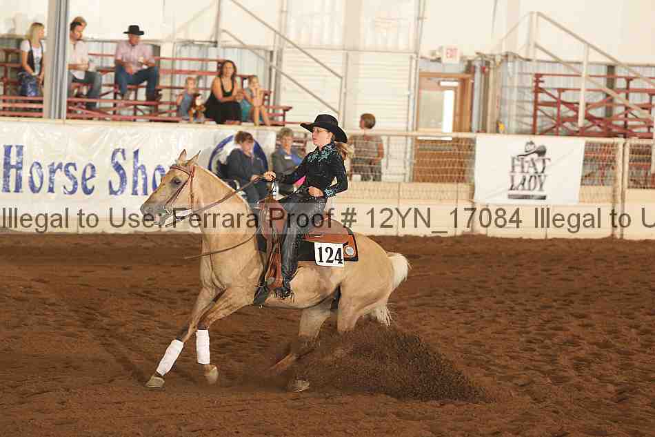 Proof 12yn_17084