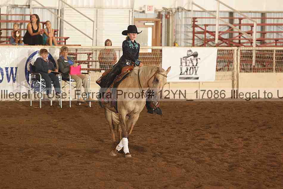 Proof 12yn_17086