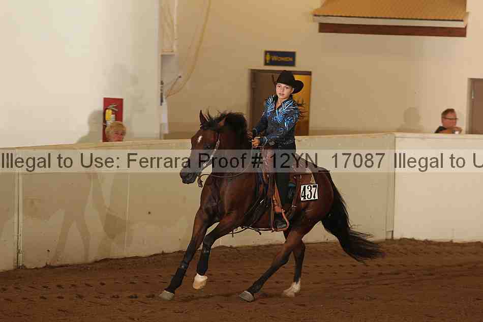 Proof 12yn_17087