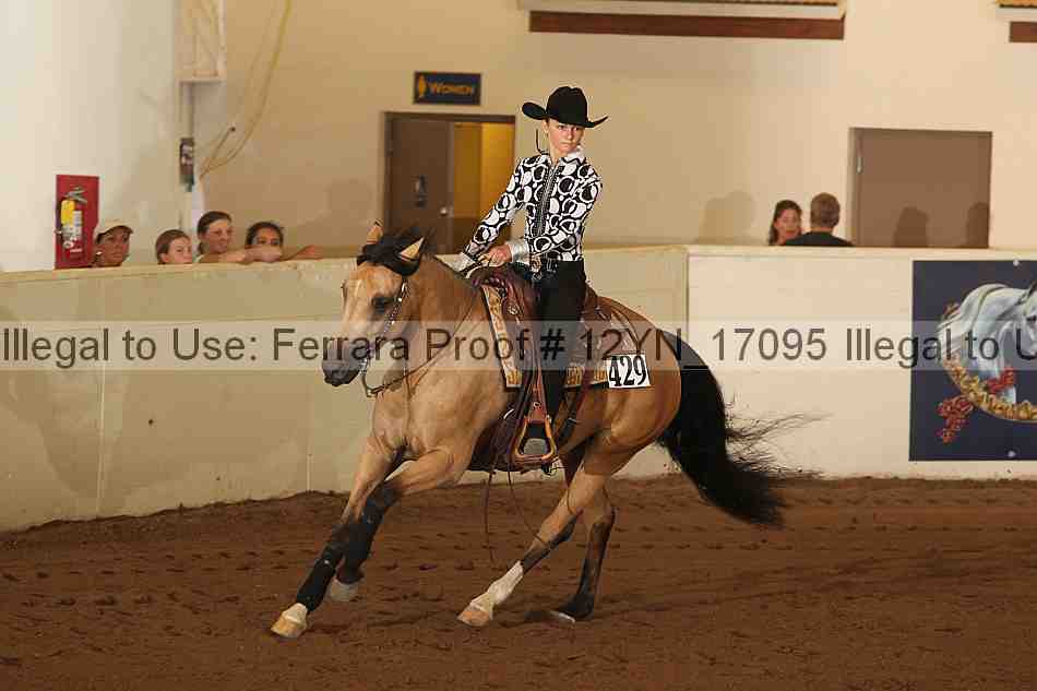 Proof 12yn_17095