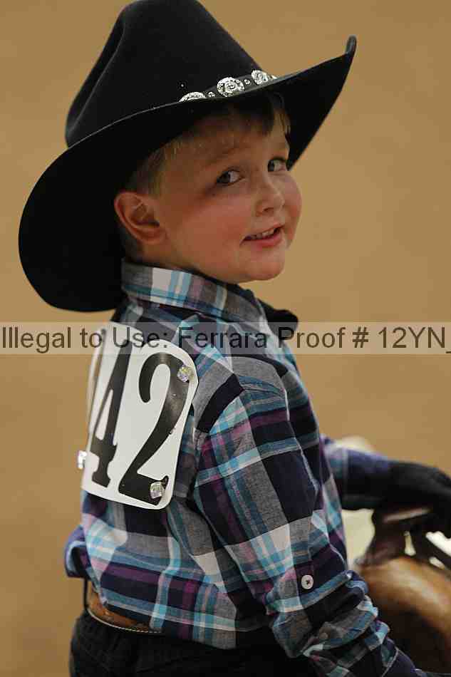 Proof 12yn_22833