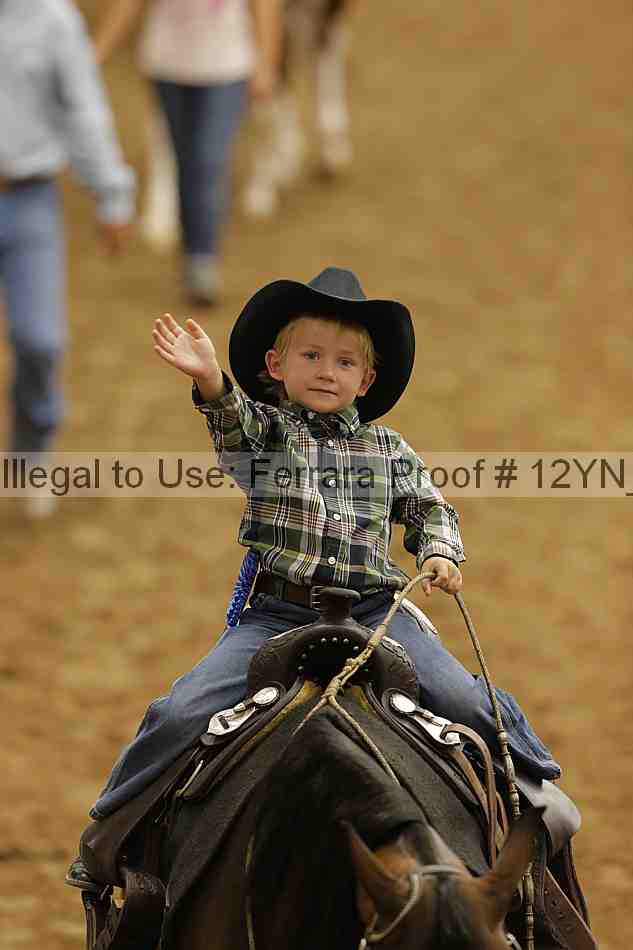 Proof 12yn_23065