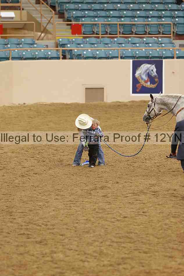 Proof 12yn_23068