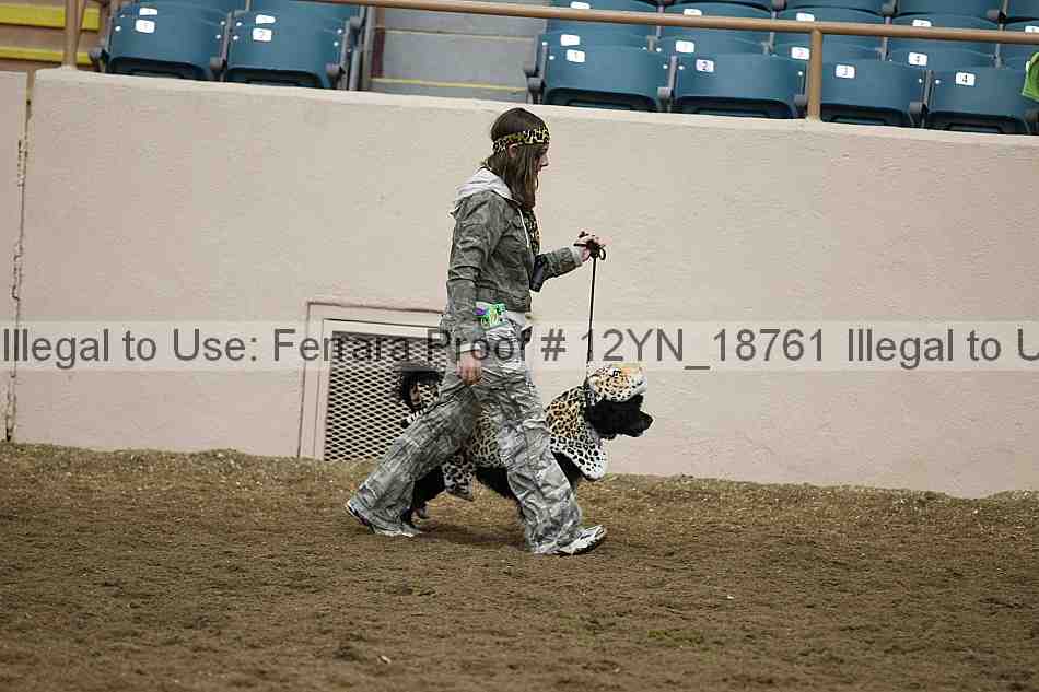 Proof 12yn_18761