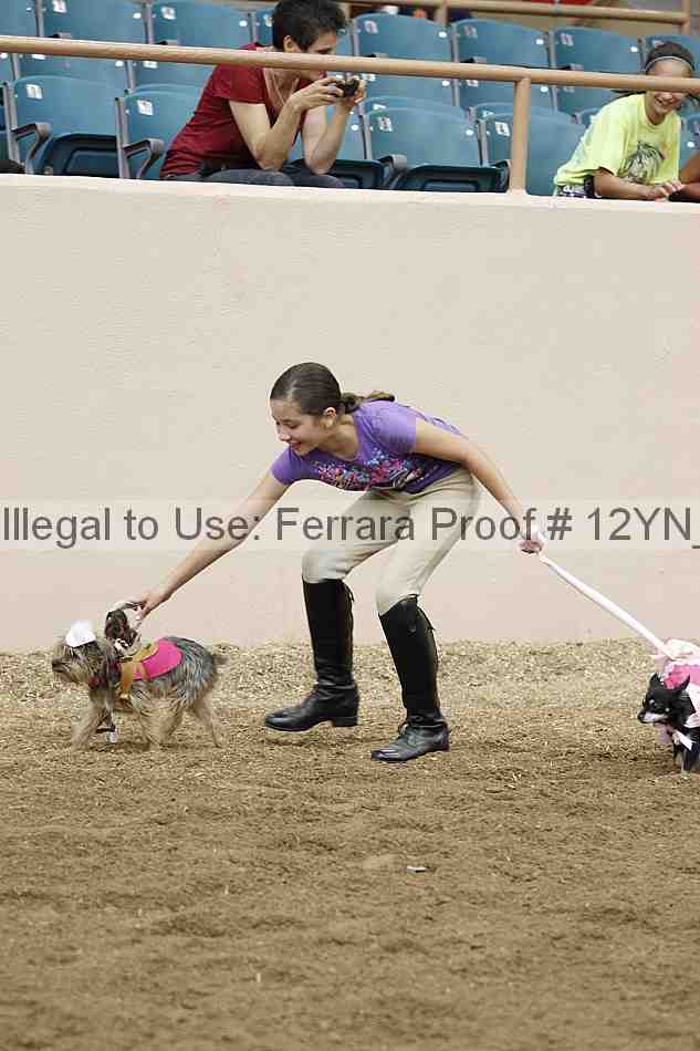 Proof 12yn_18789