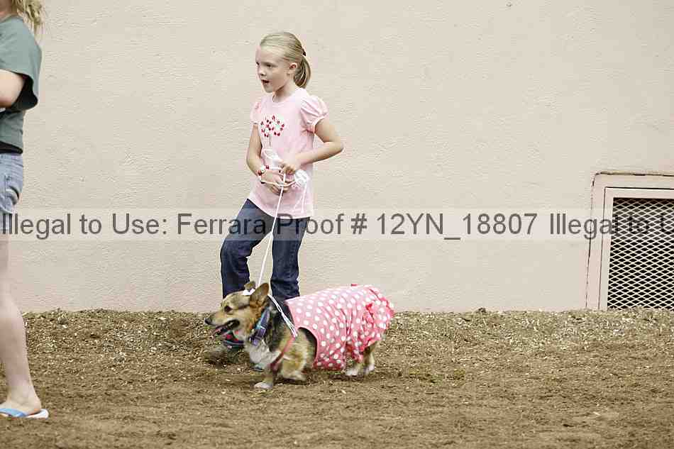Proof 12yn_18807