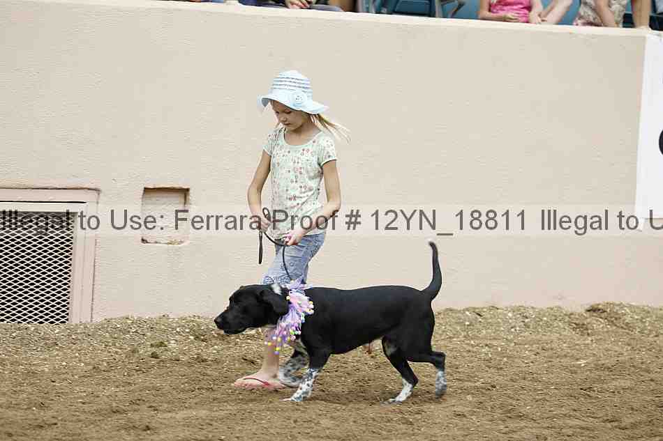 Proof 12yn_18811