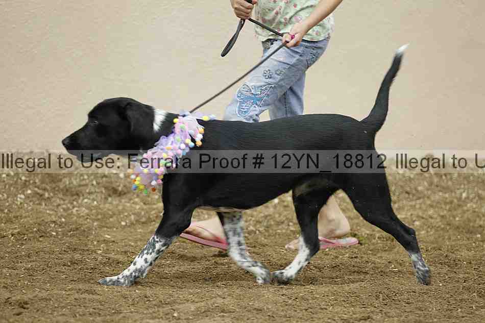 Proof 12yn_18812