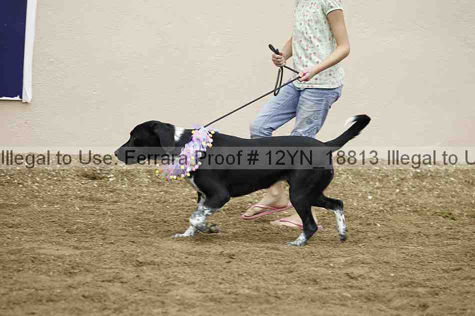 Proof 12yn_18813