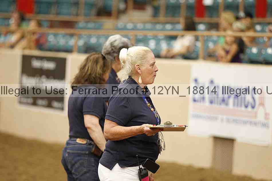 Proof 12yn_18814