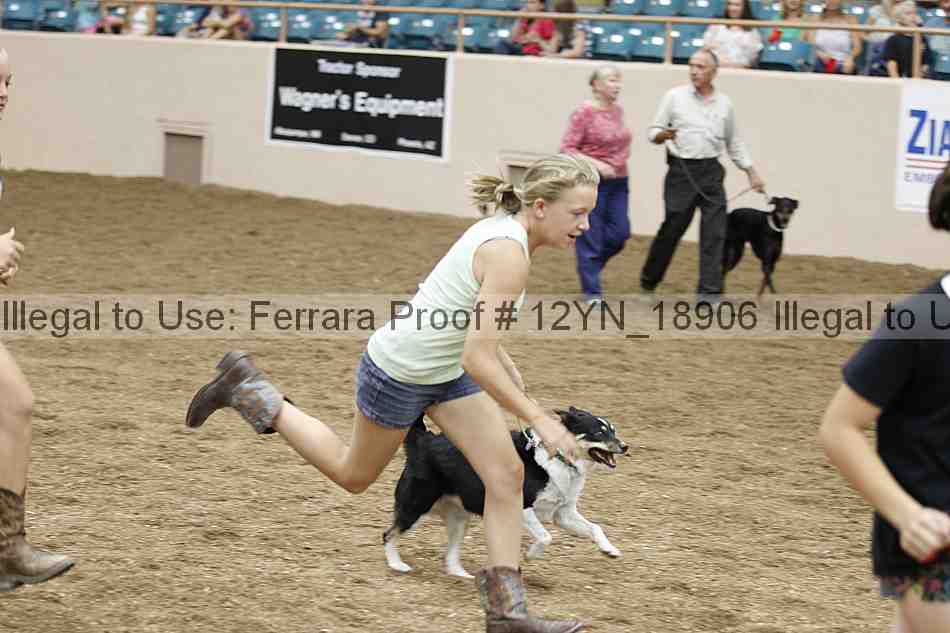Proof 12yn_18906